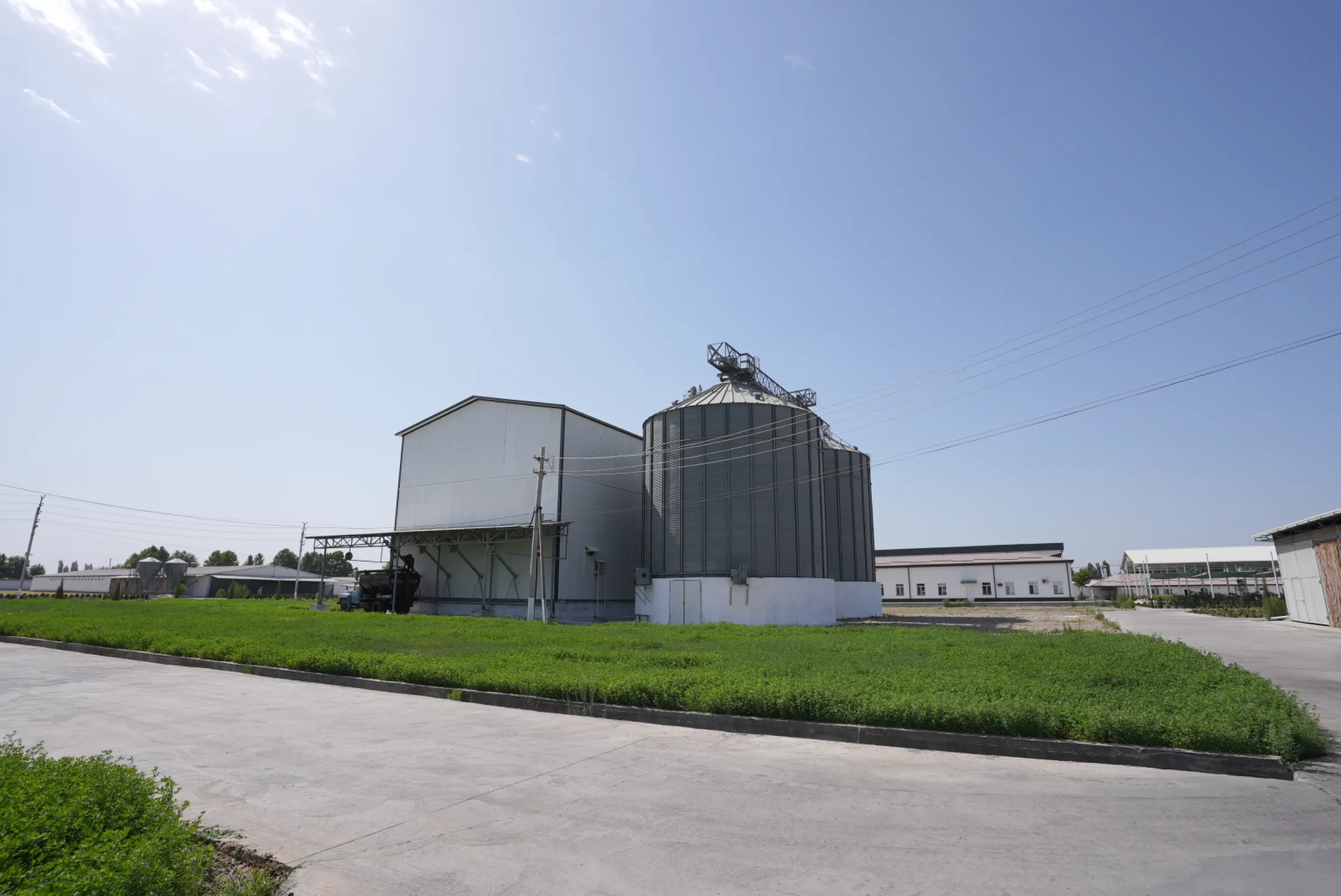 "Toshkent parranda", Uzbekistan - compound feed plant 5 t/h