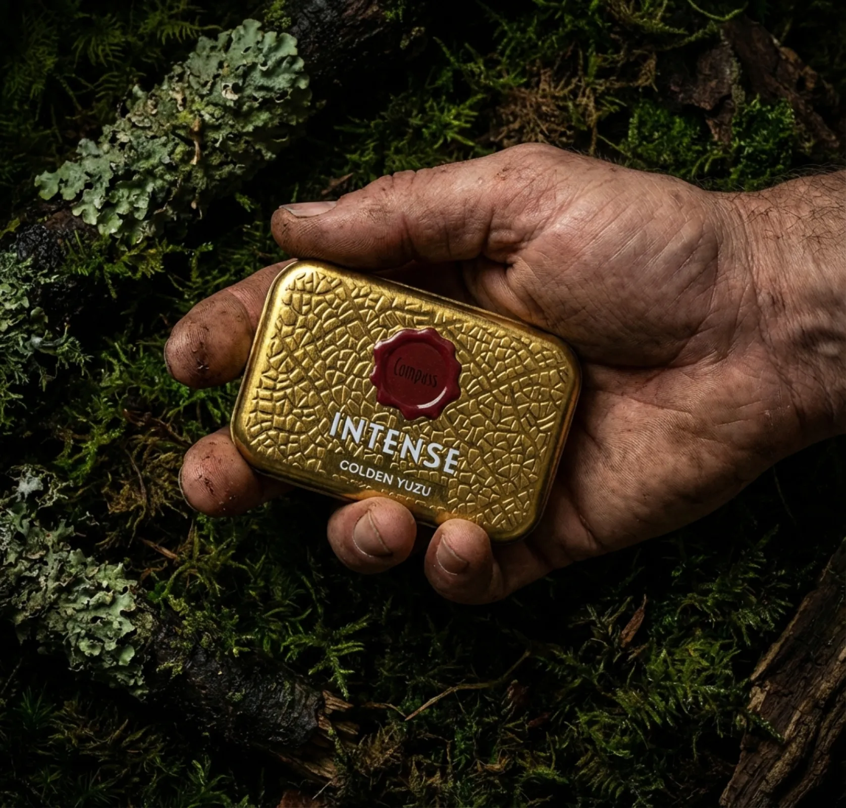 Compass Intense - Goldne Yuzu