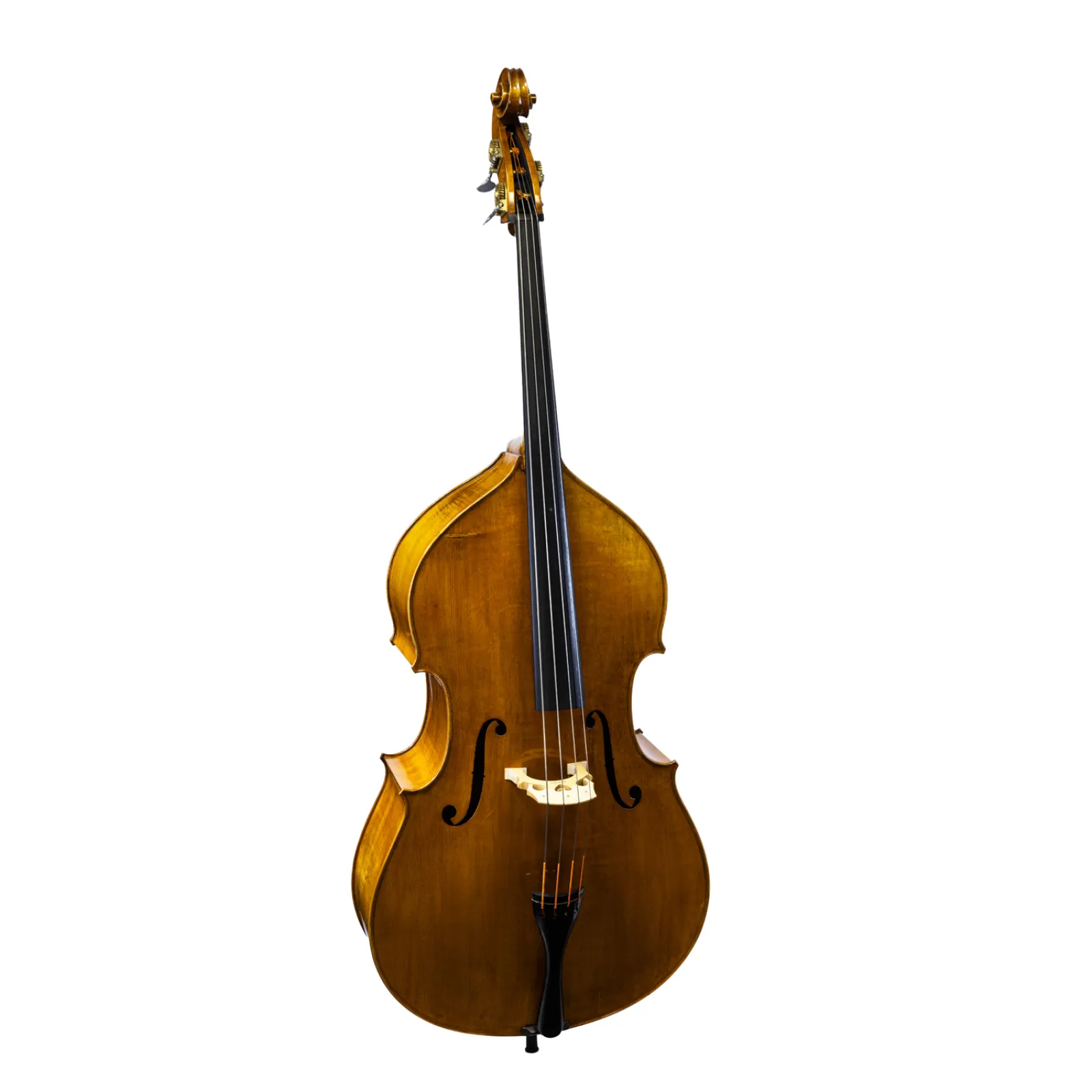 Stefan Nestler Model Rossi front