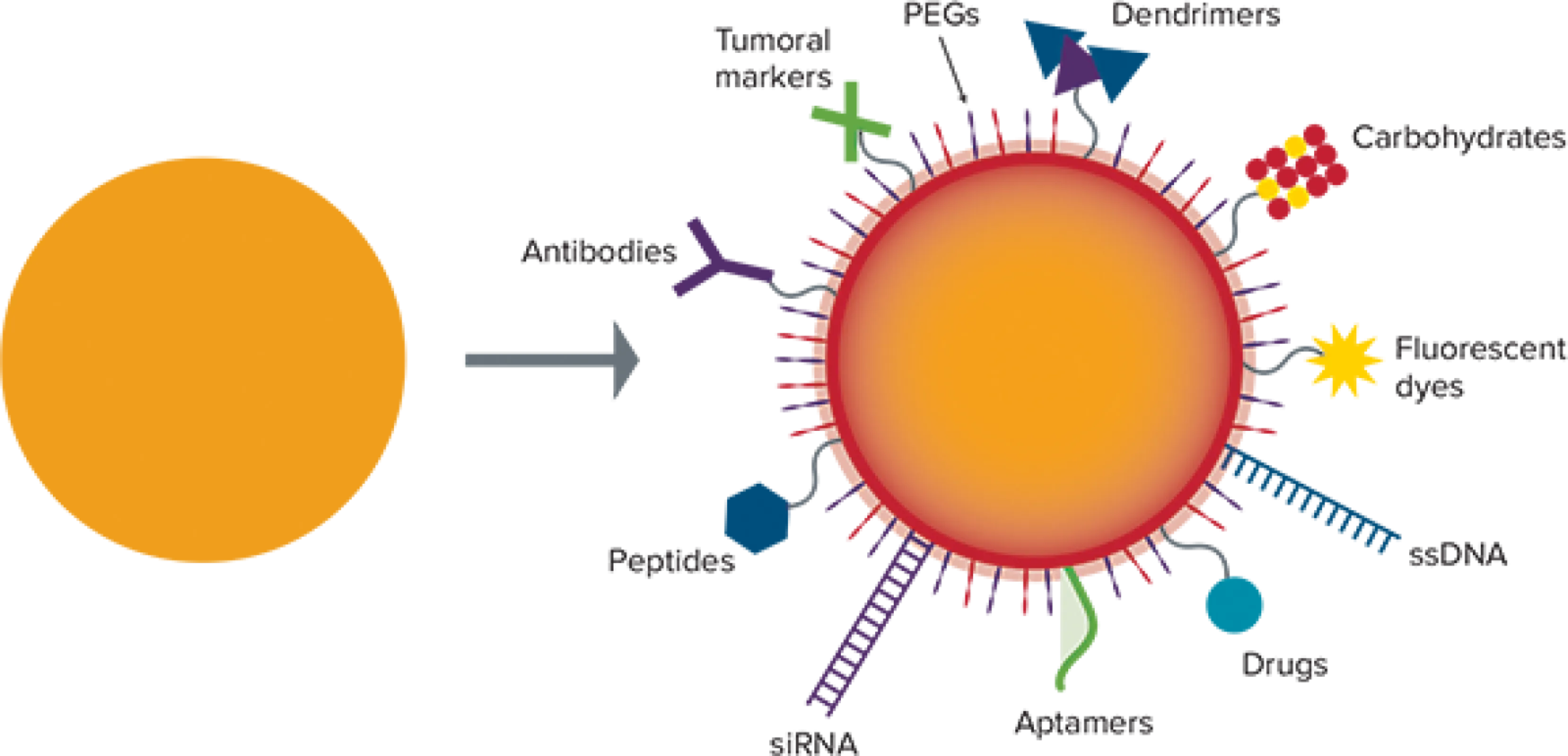 Illustration of functionalization strategies for a wide range of target analytes.