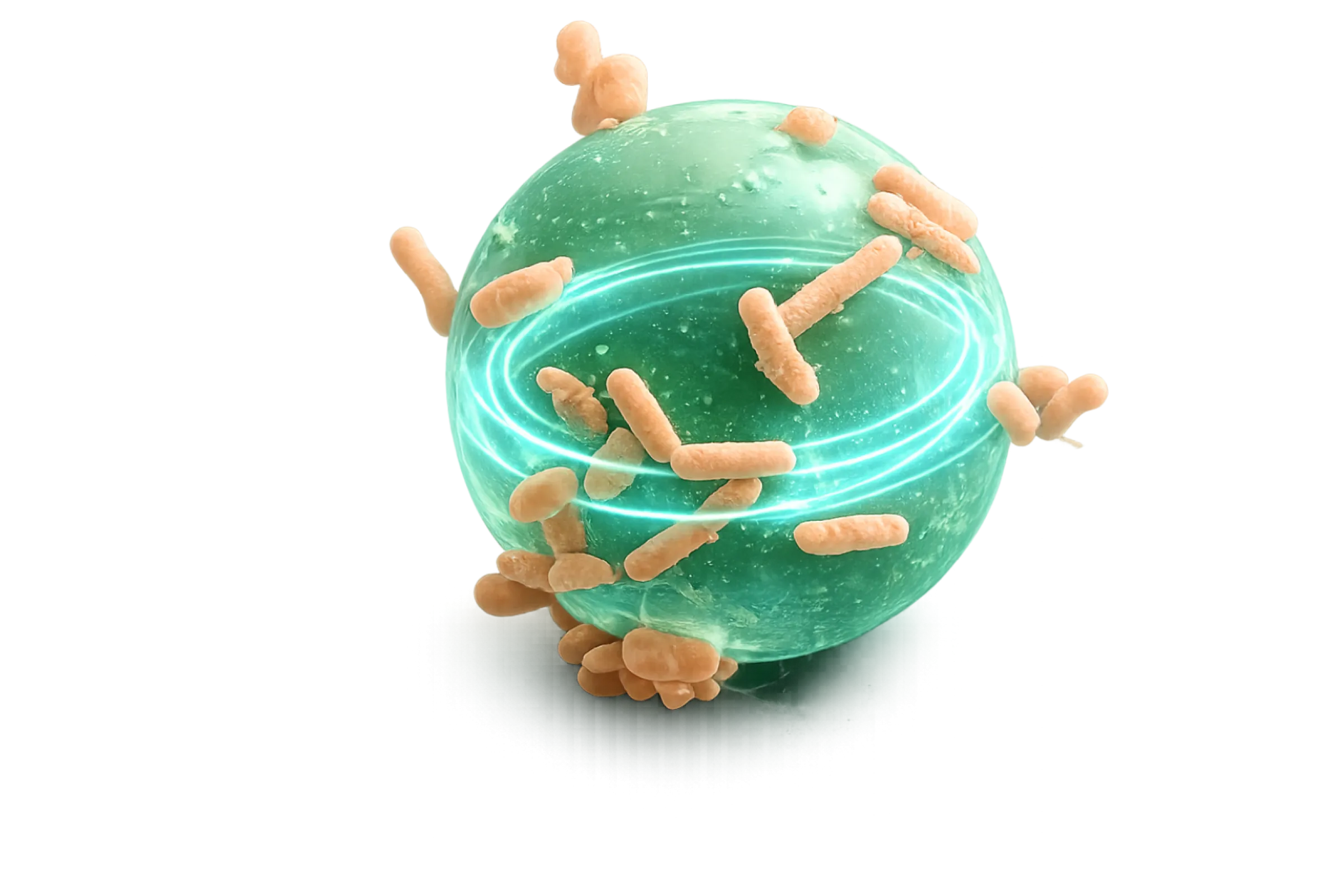 FRS biosensor principle: specifically functionalized microbeads capture target microbes. Fluorescence-stimulated light waves circulating inside the beads show characteristic changes with the optical load.