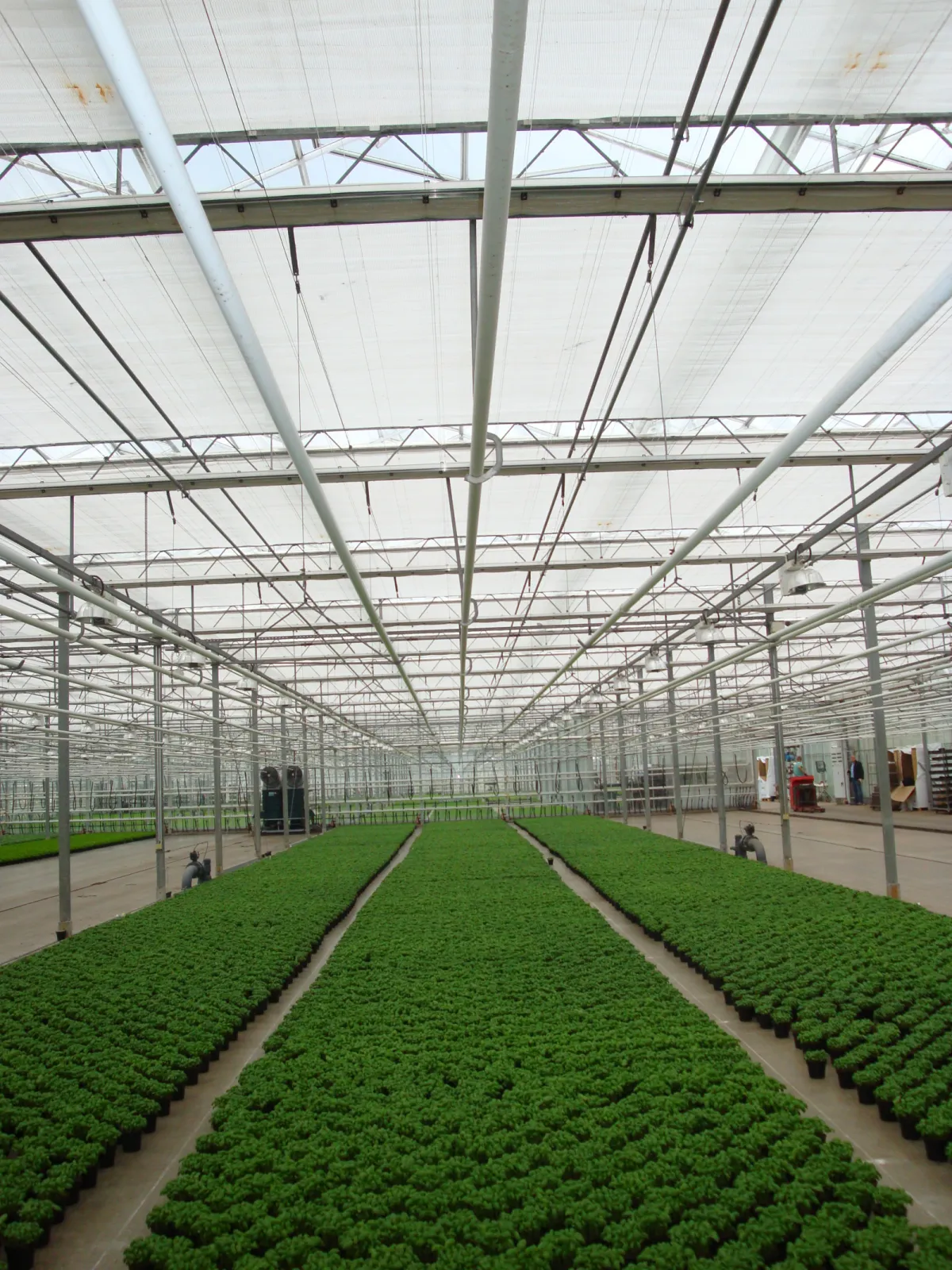 Reimatex shading and energy screen