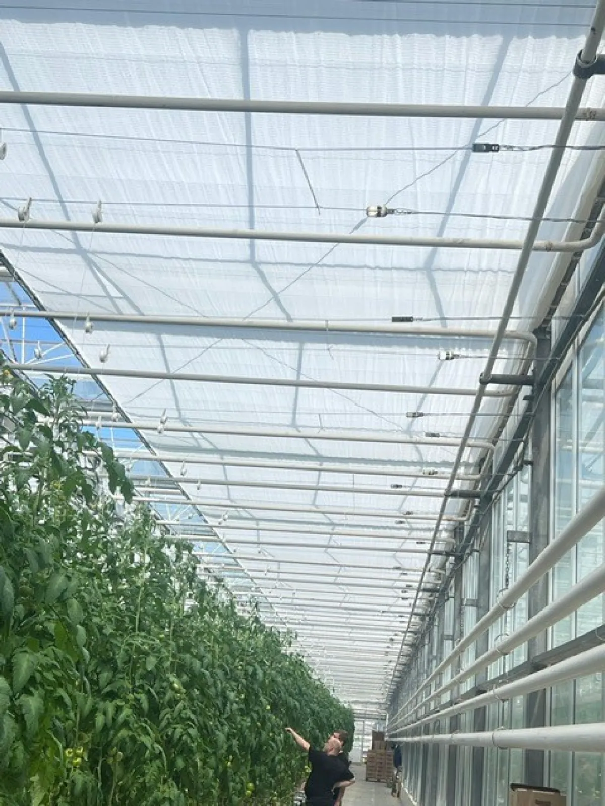 Reimatex shading and energy screen