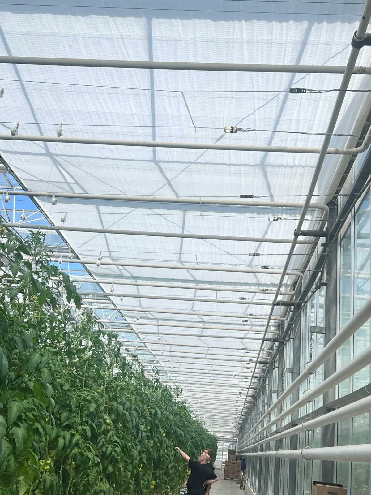 Reimatex® 30 white shading and energy saving screen