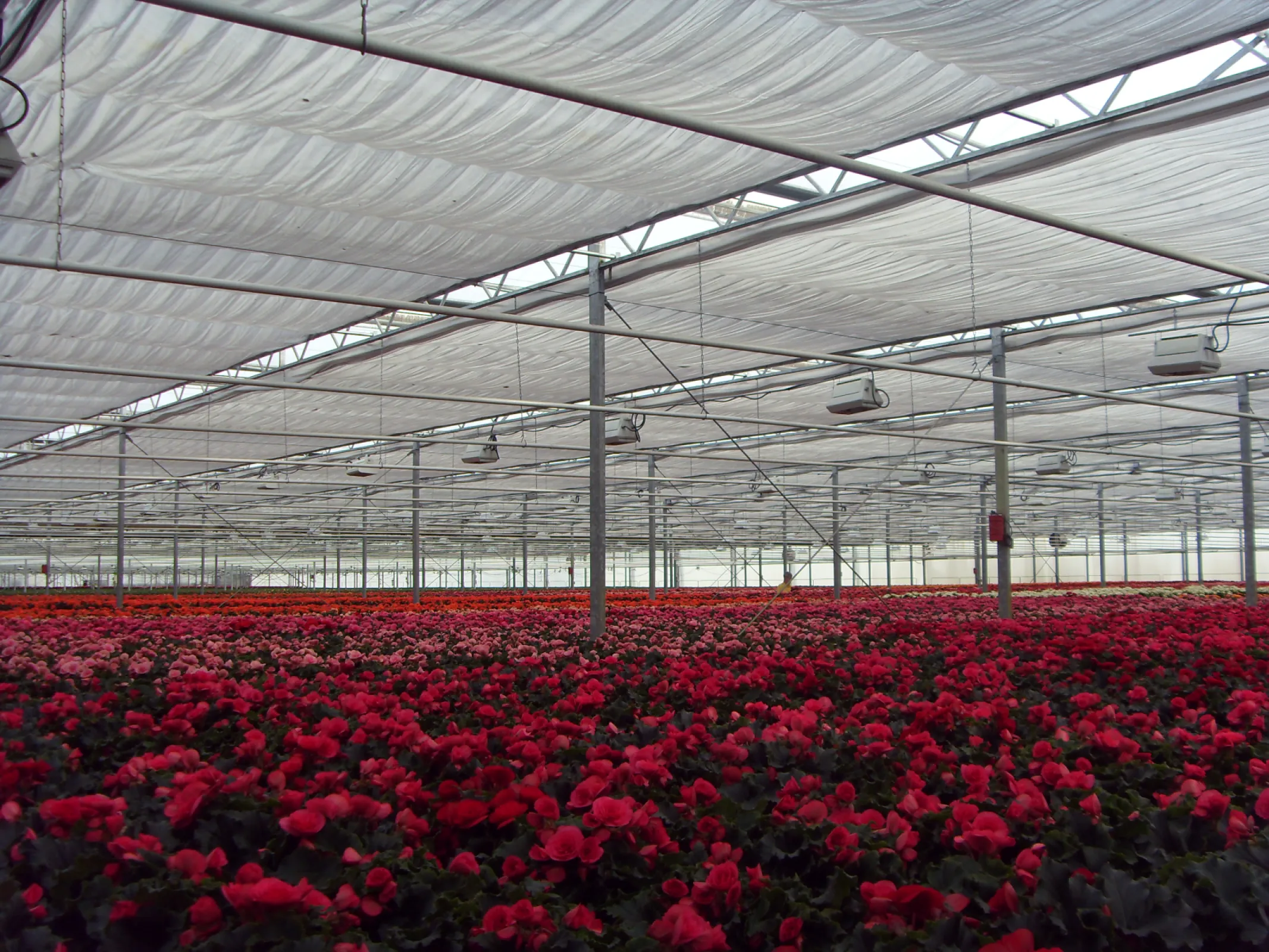 Aluscreen® 50 shading and energy screen