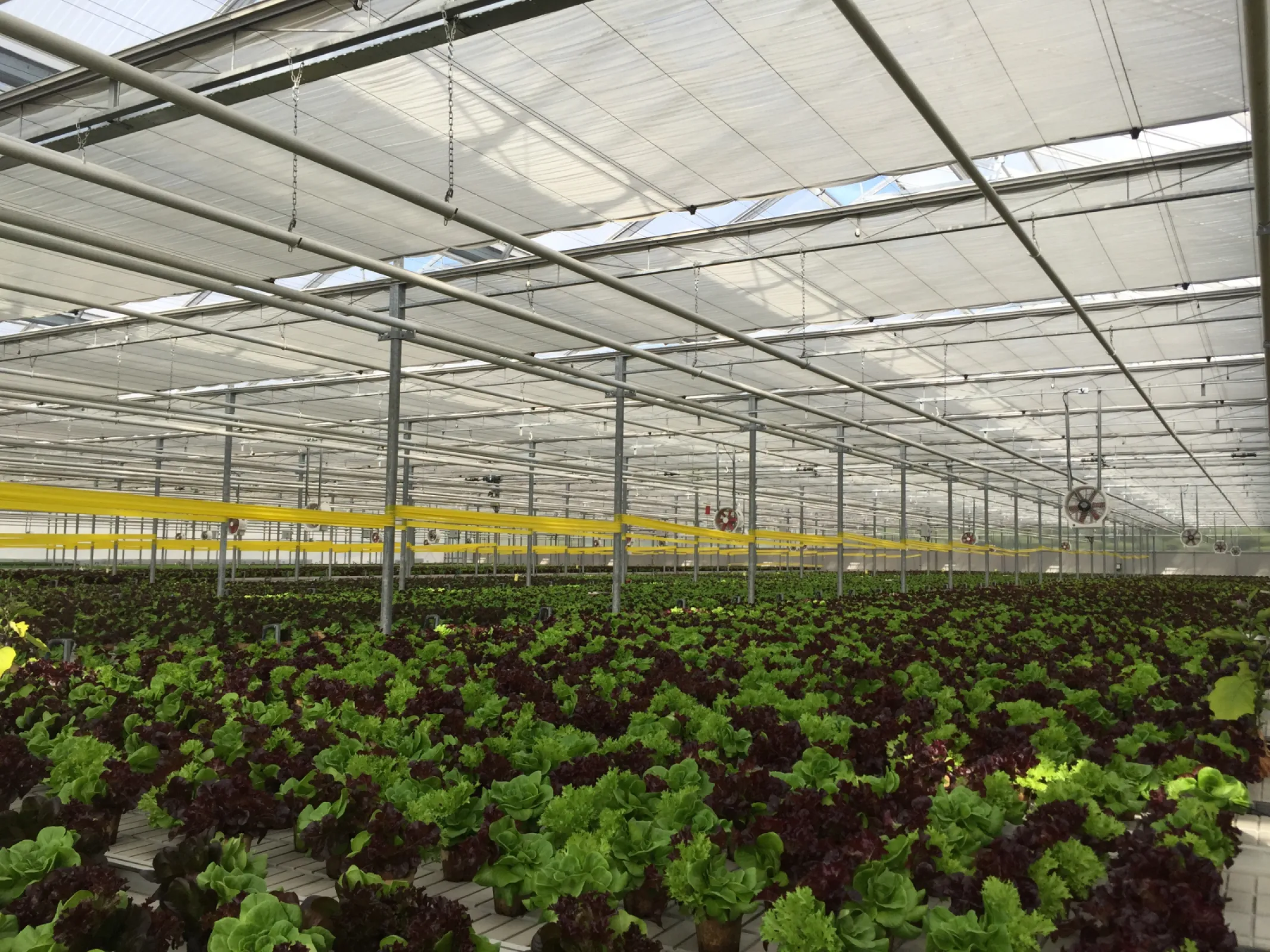 Pyrotex® AIR shading screen