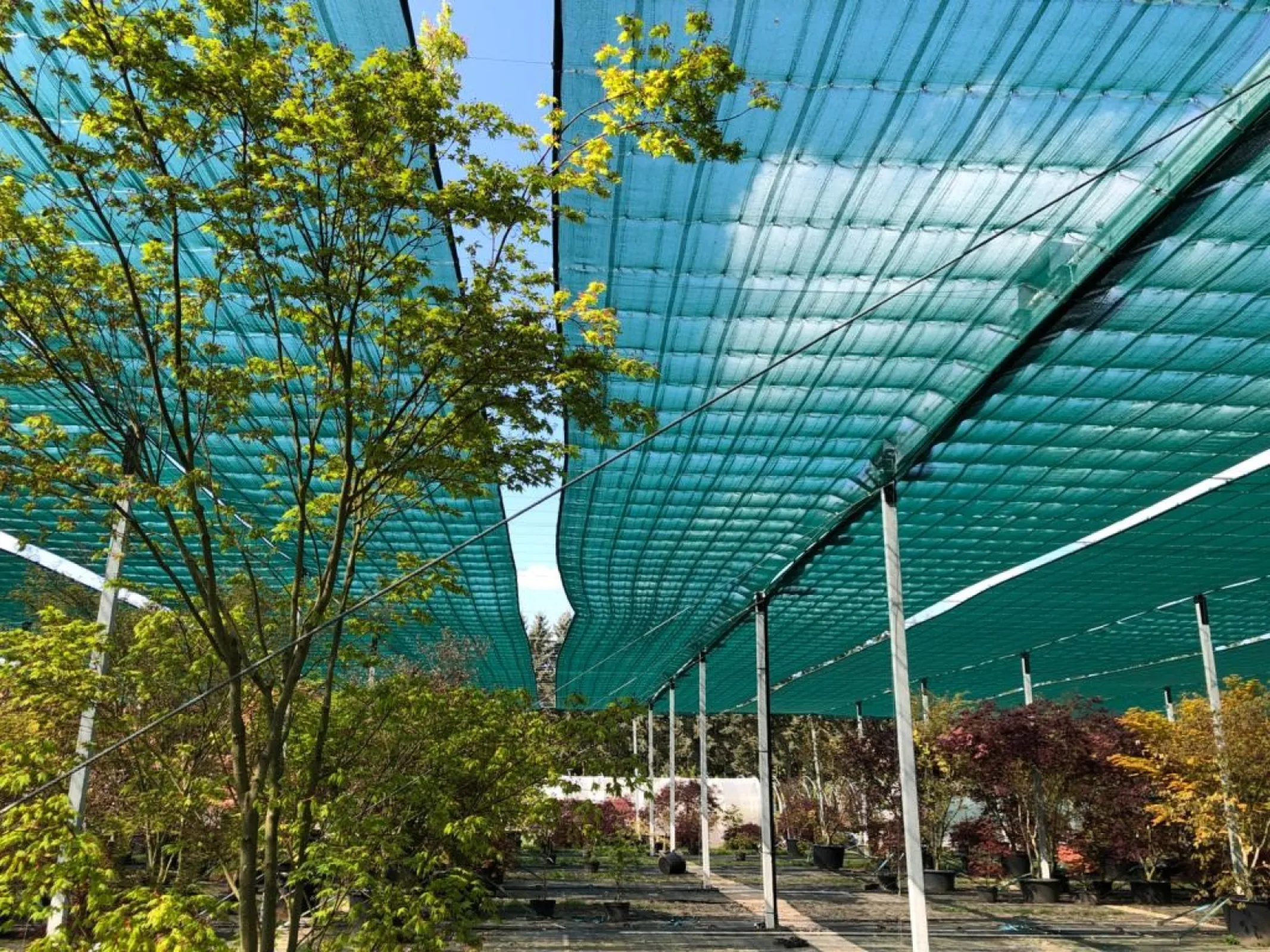 Thermotex® External Shading
