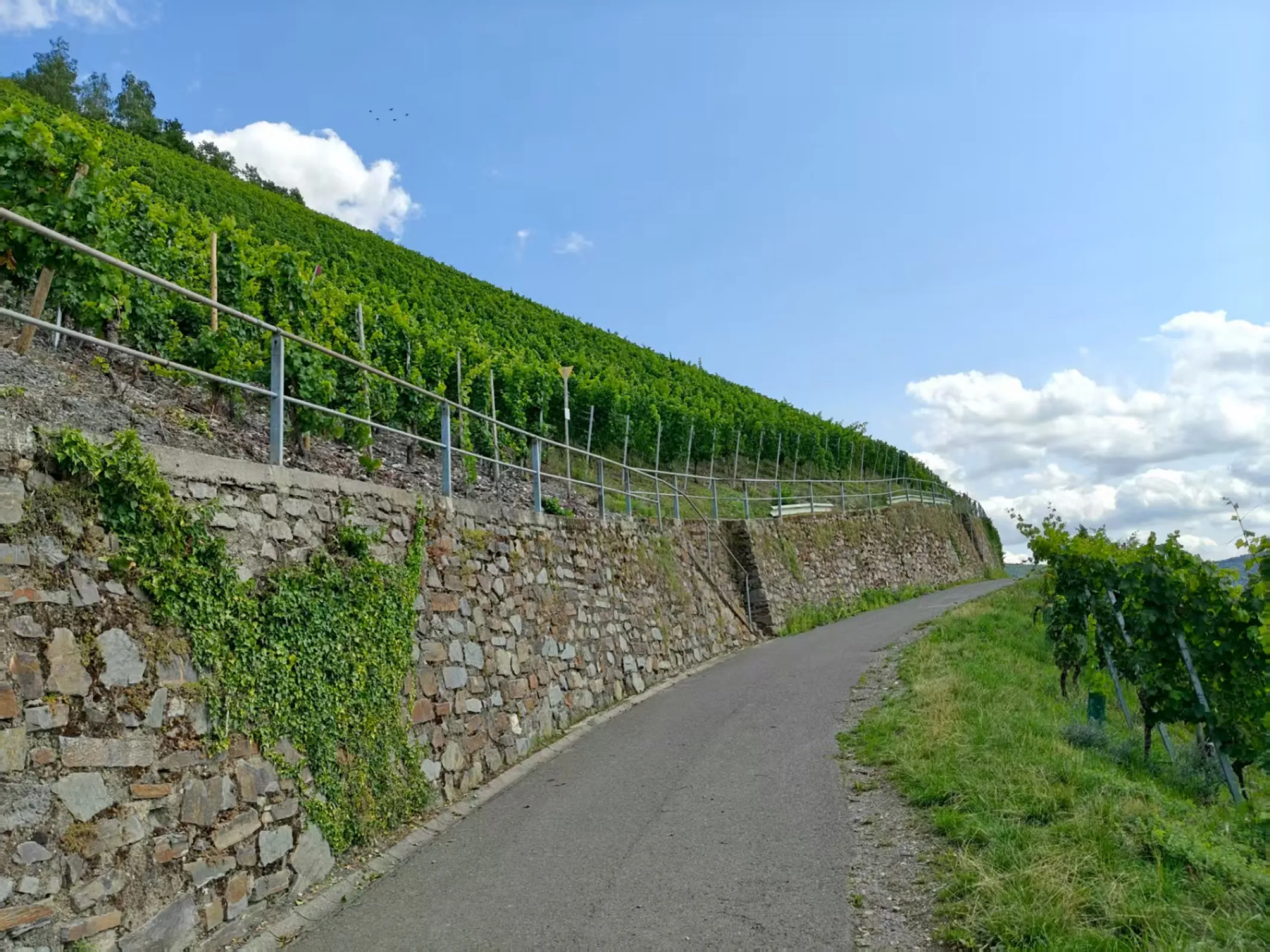 Wehlener Sonnenuhr