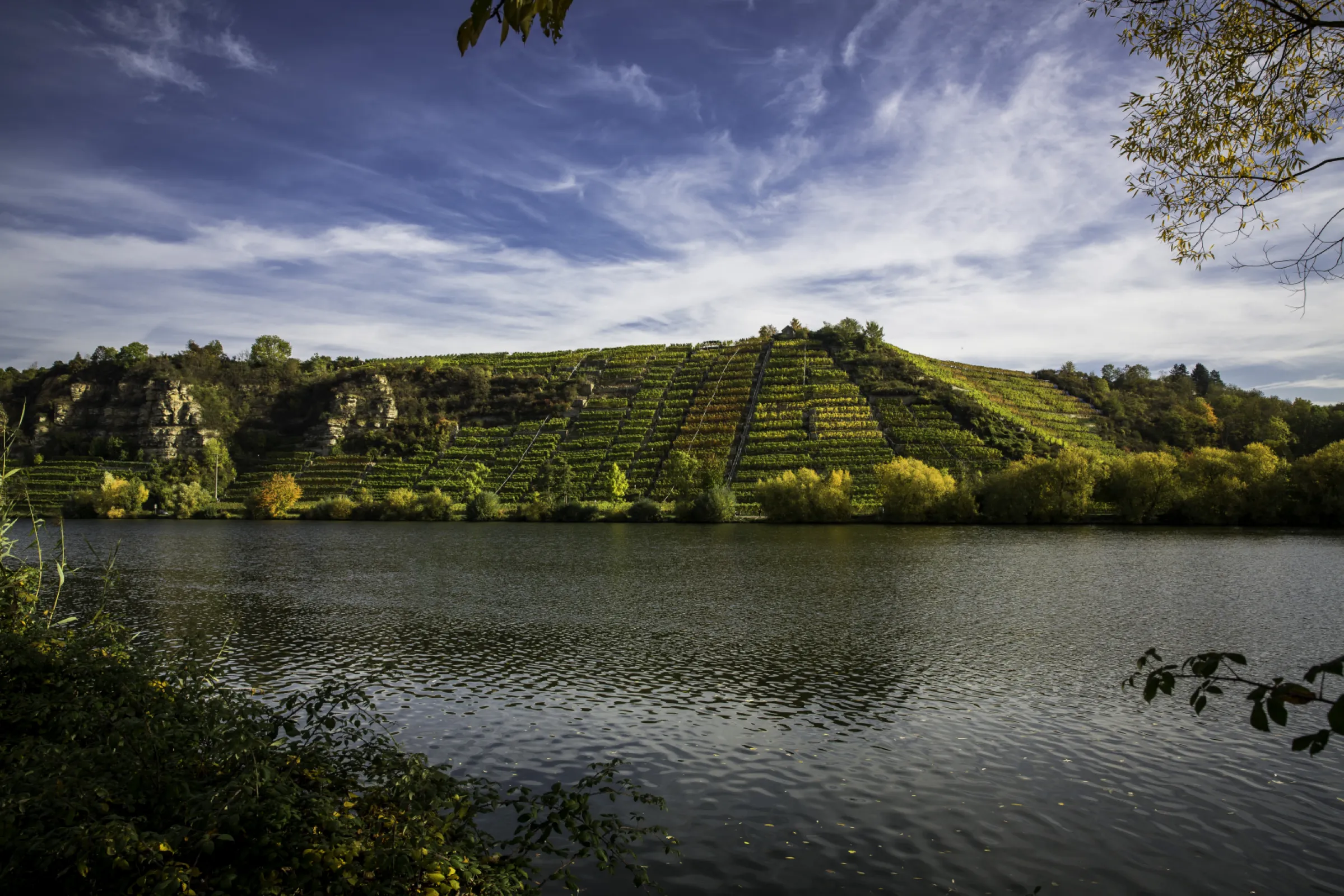 View of the “Krappenfelsen” vineyard in Lauffen, with the Neckar River in the foreground