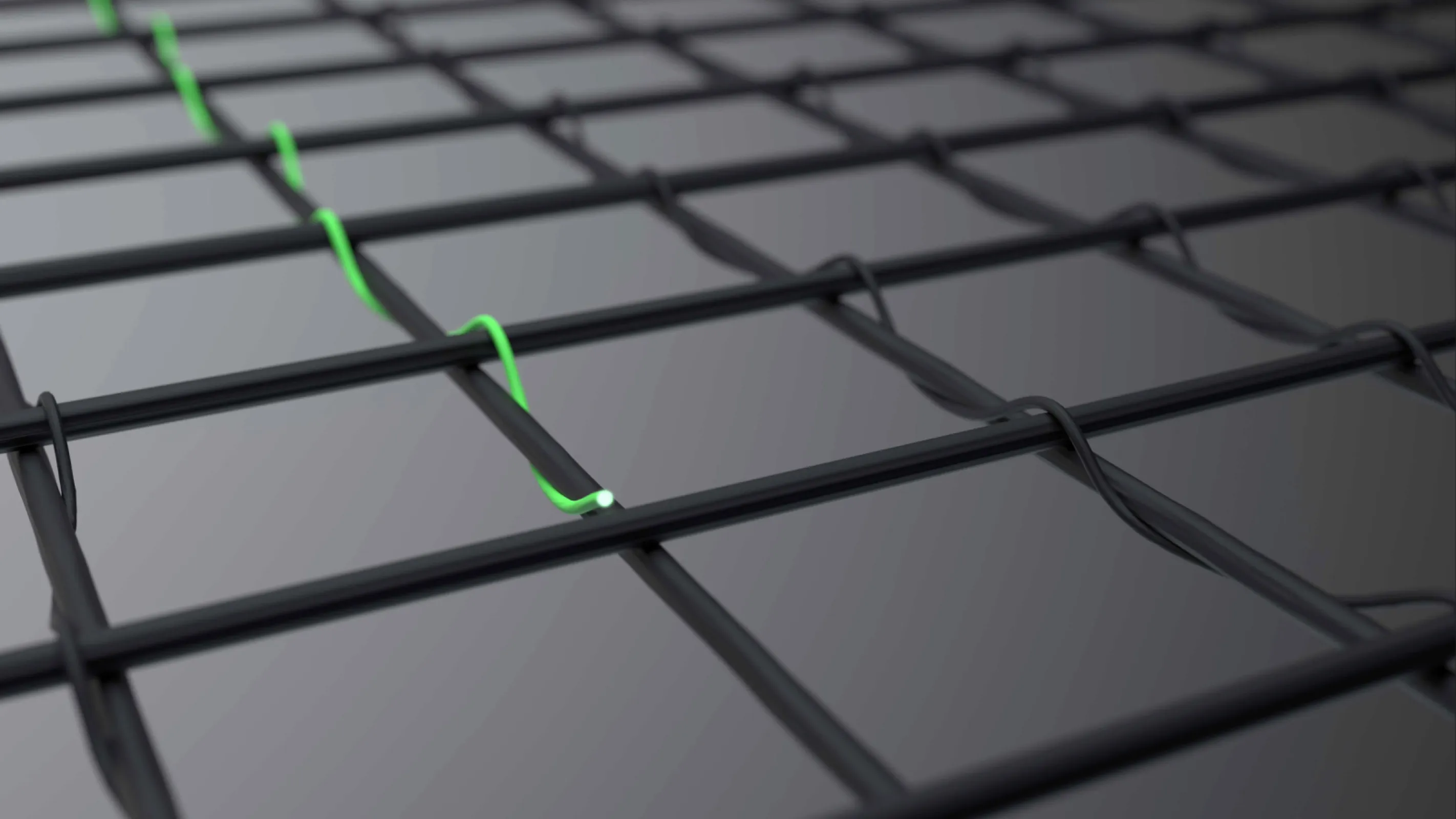 Close-up of the Transpatec® insect screen mesh