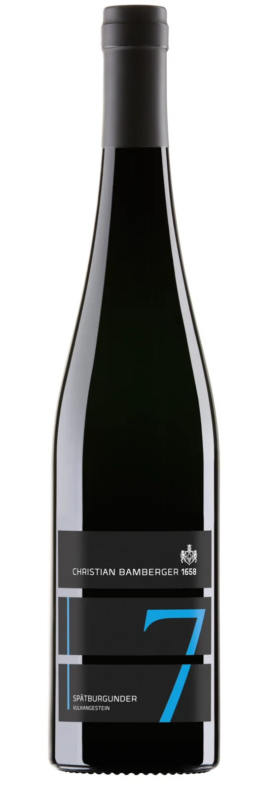 2022 Schlossböckelheim Pinot Noir (Spätburgunder) Vulkangestein dry