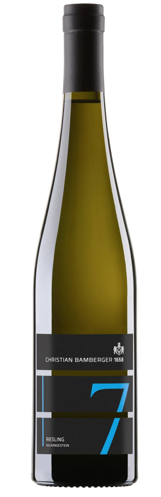 2024 Schlossböckelheimer Riesling Vulkangestein dry