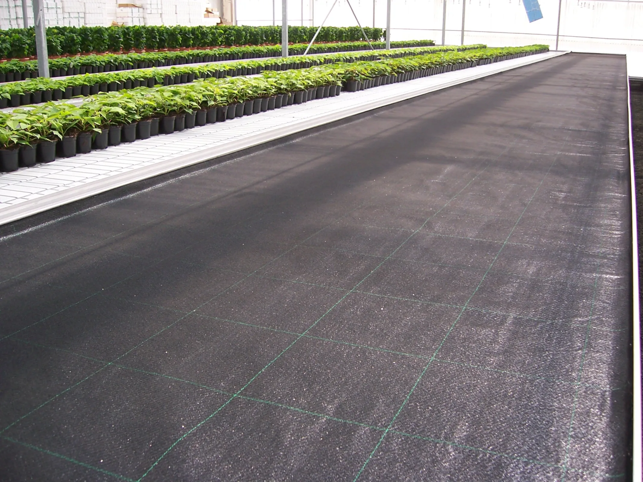 Floraplus 2 layer capillary matting
