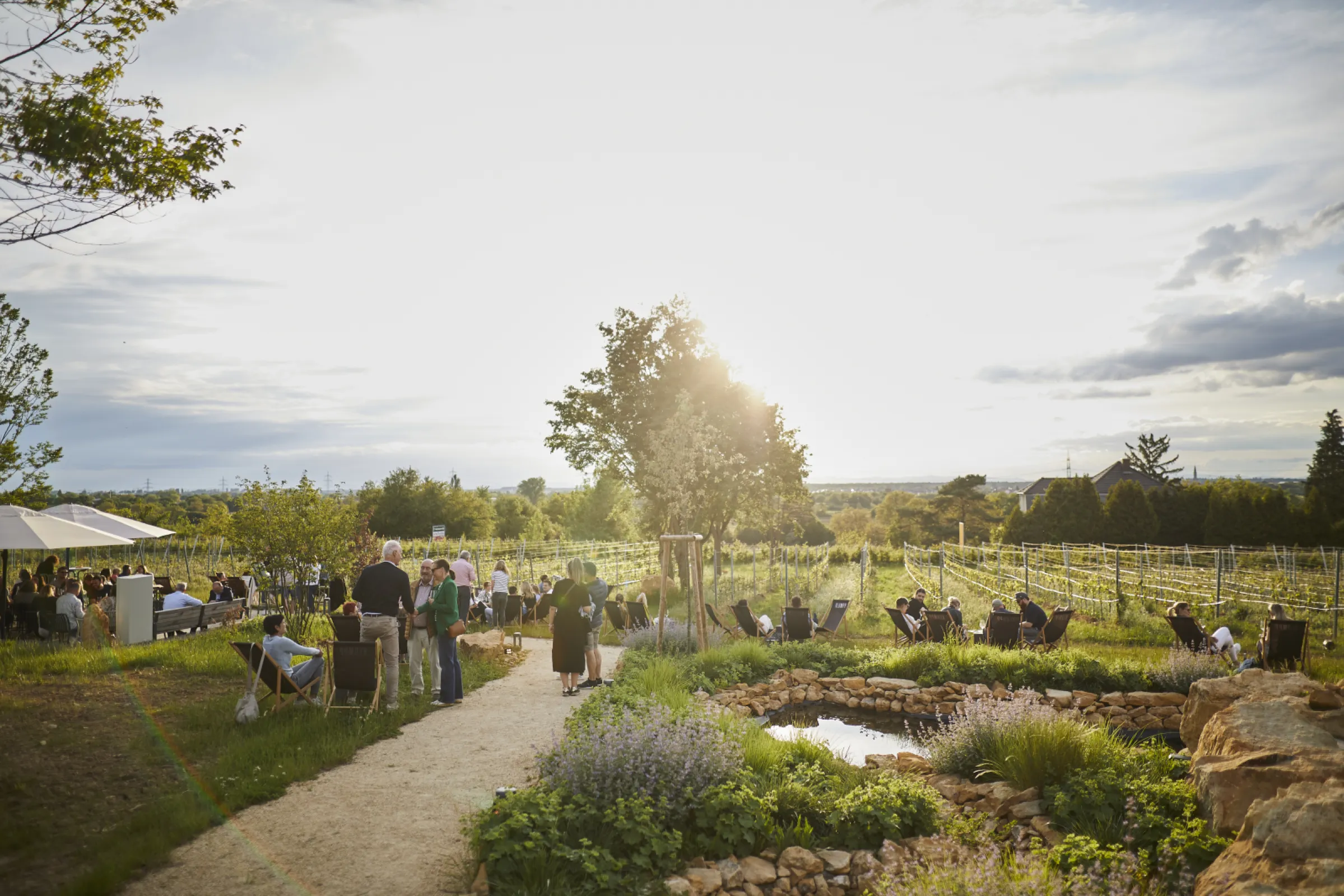 Wine park