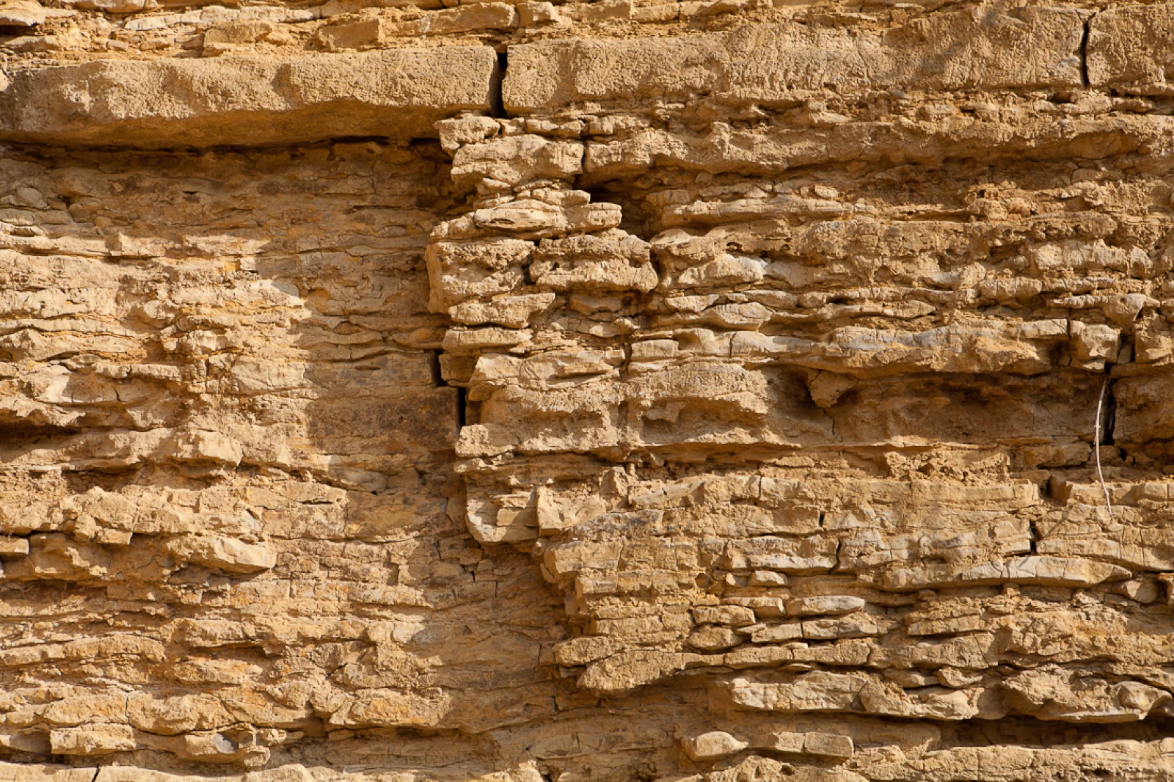 Shell limestone