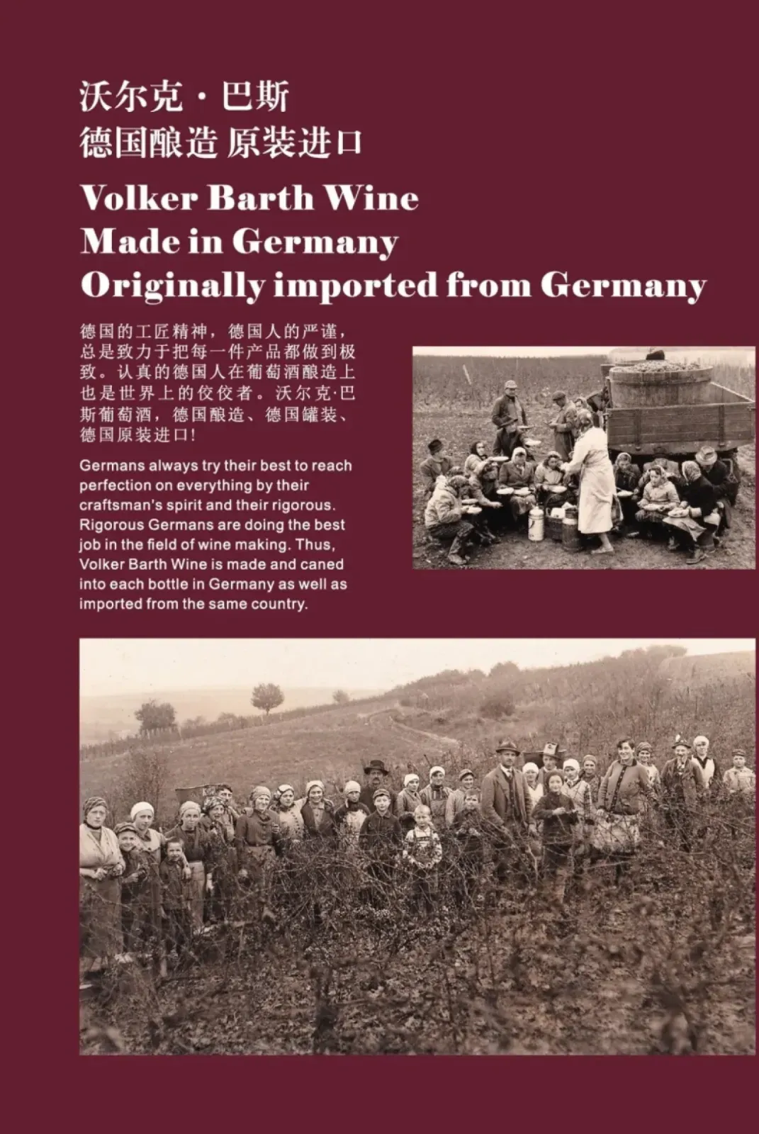 Wine harvest in days gone by