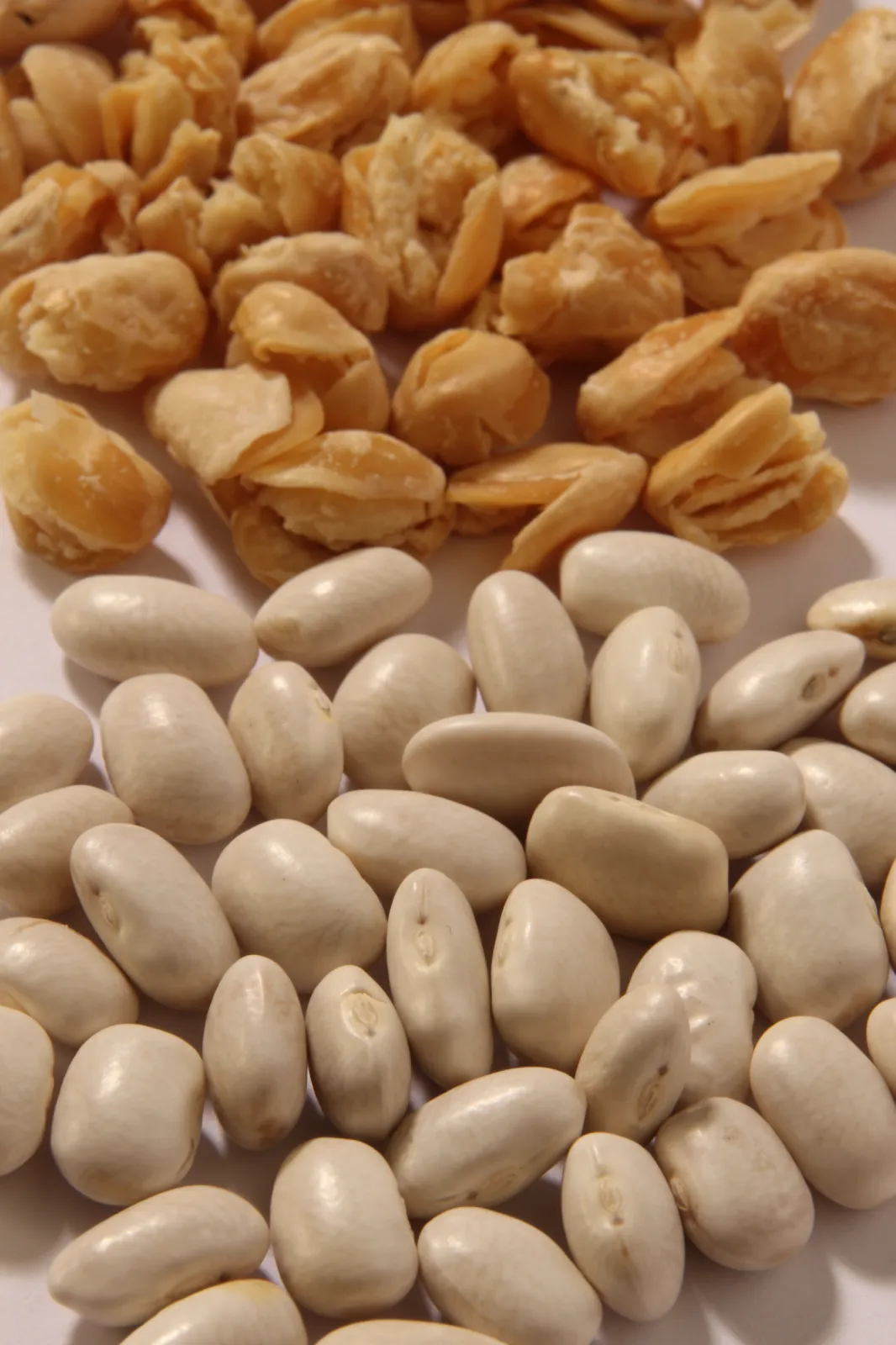 white beans