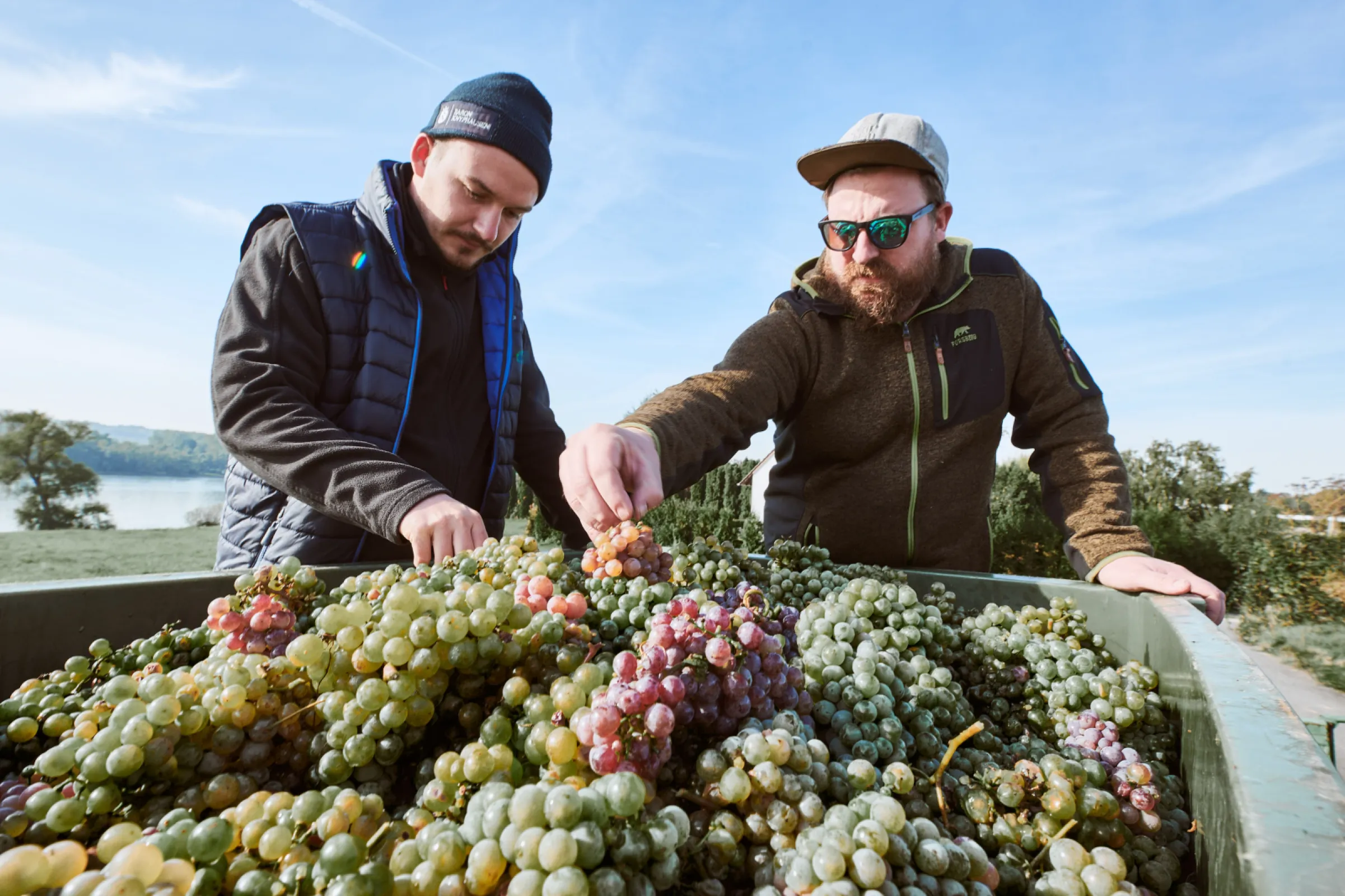 Arne Wilken and Ellis Illert checking our harvest