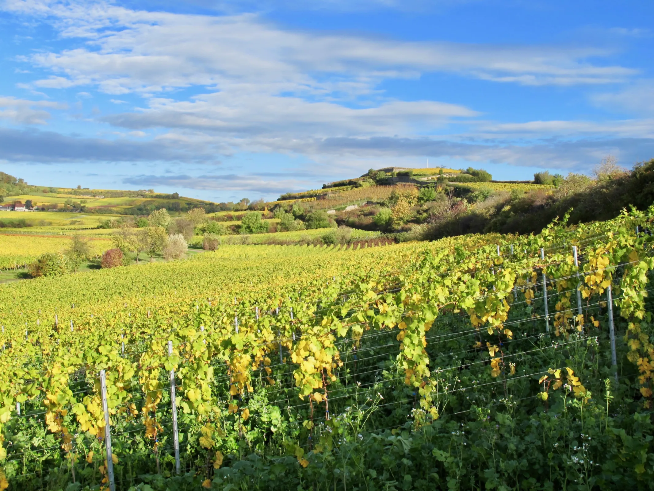 Pfalz Region