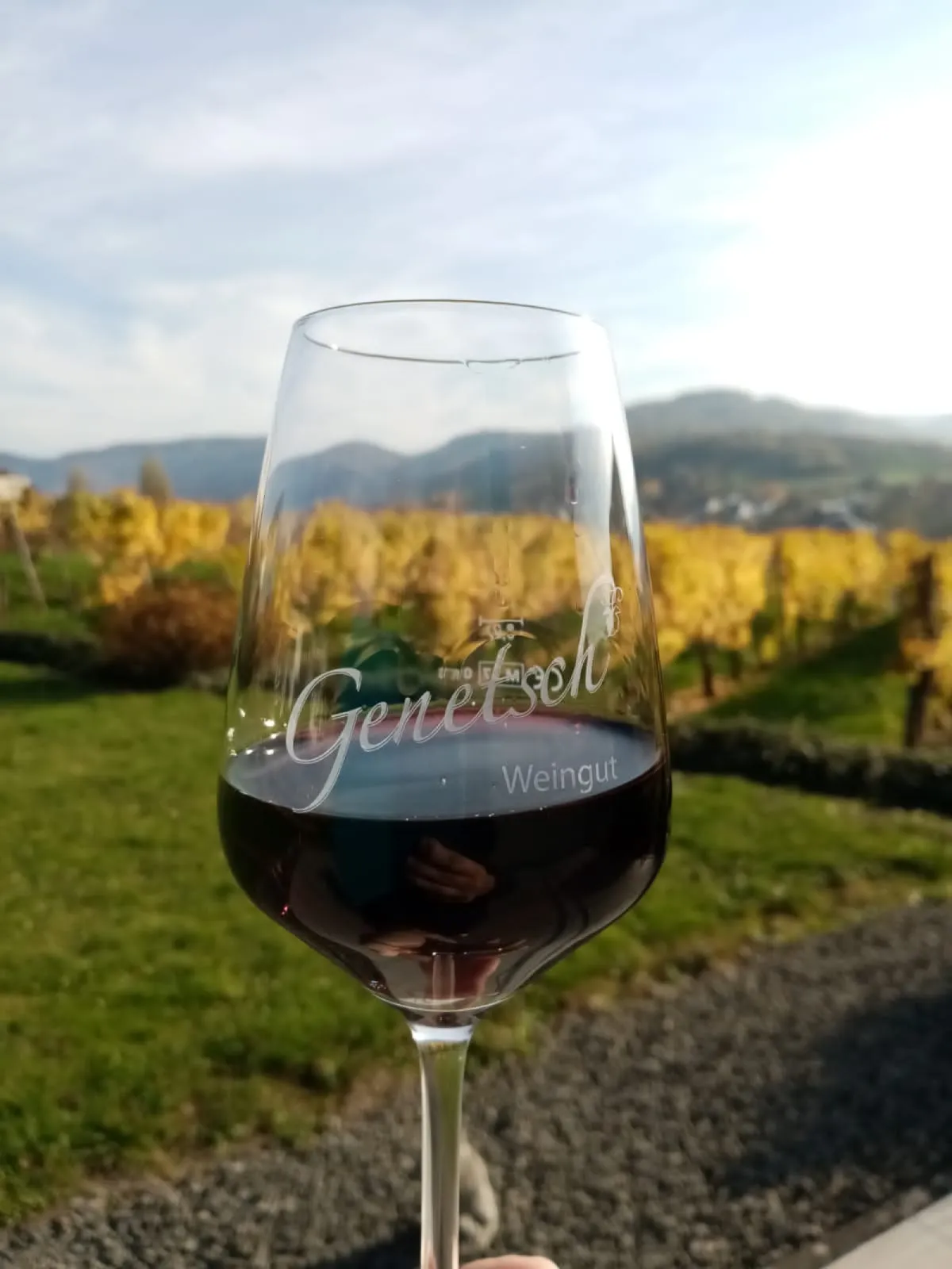 Enjoy every sip - wines crafted with passion, natur and care for moments of pure pleasure