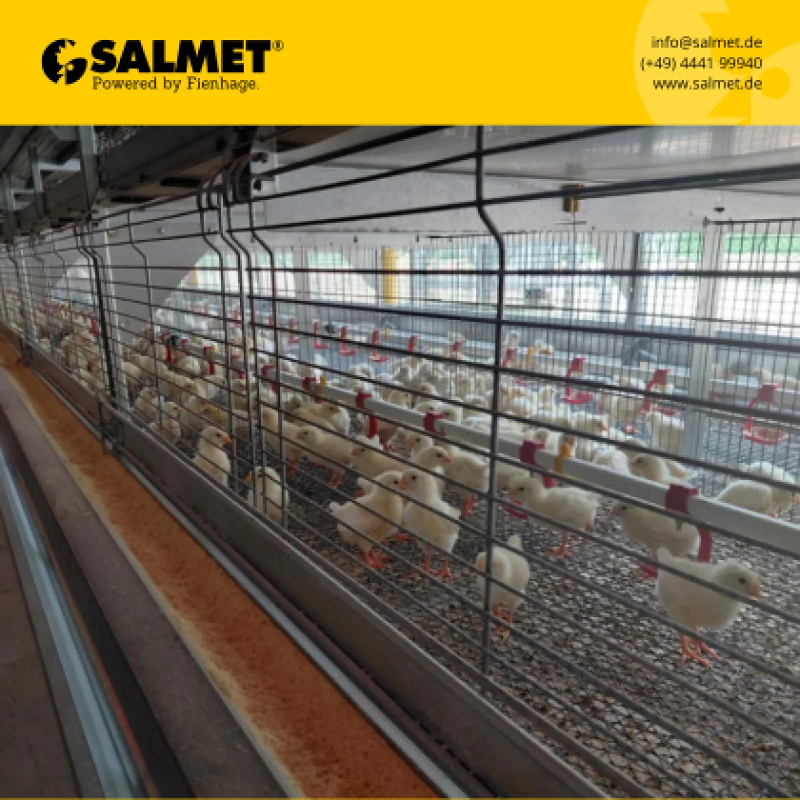 S700 conventional cage system