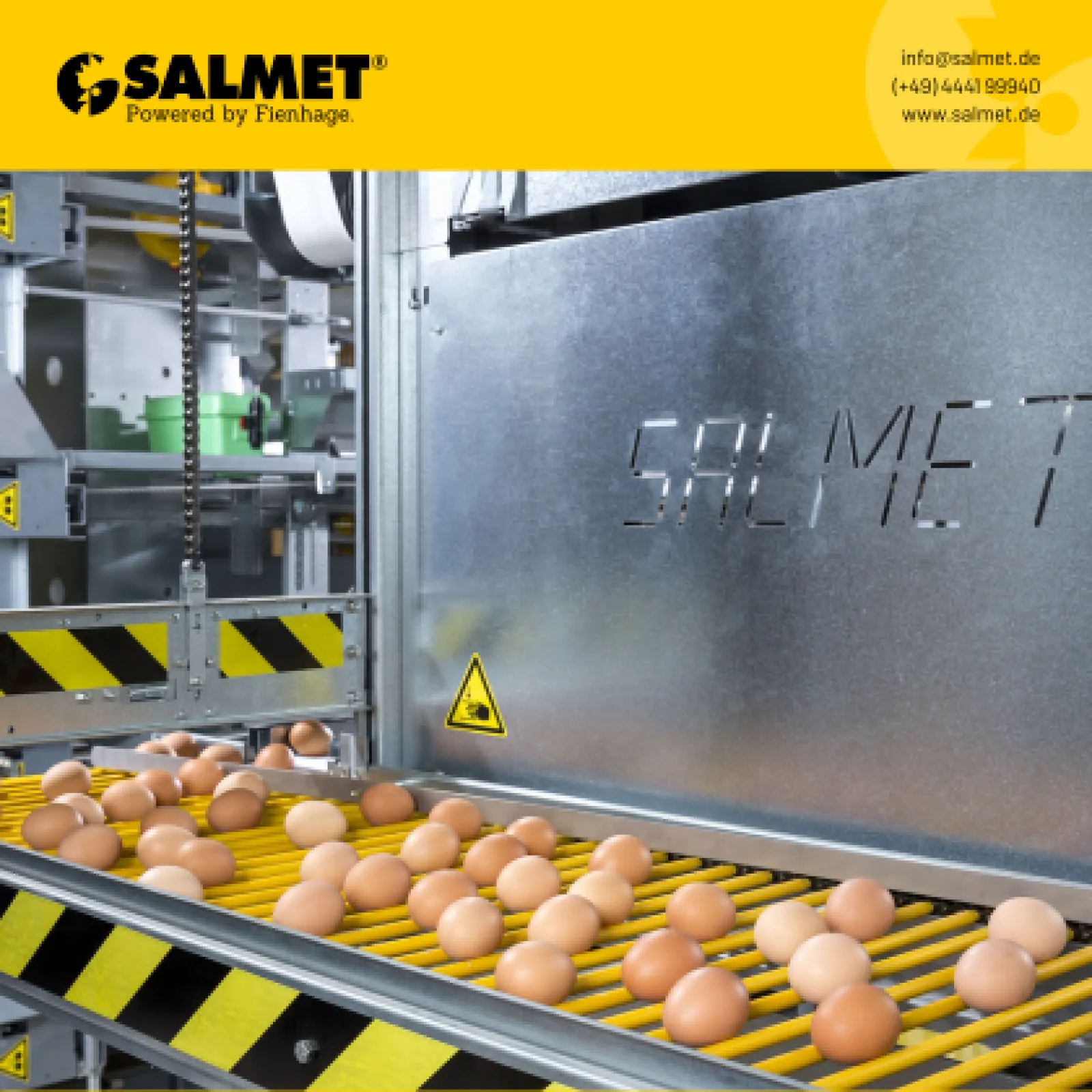 Salmet Egg Collection