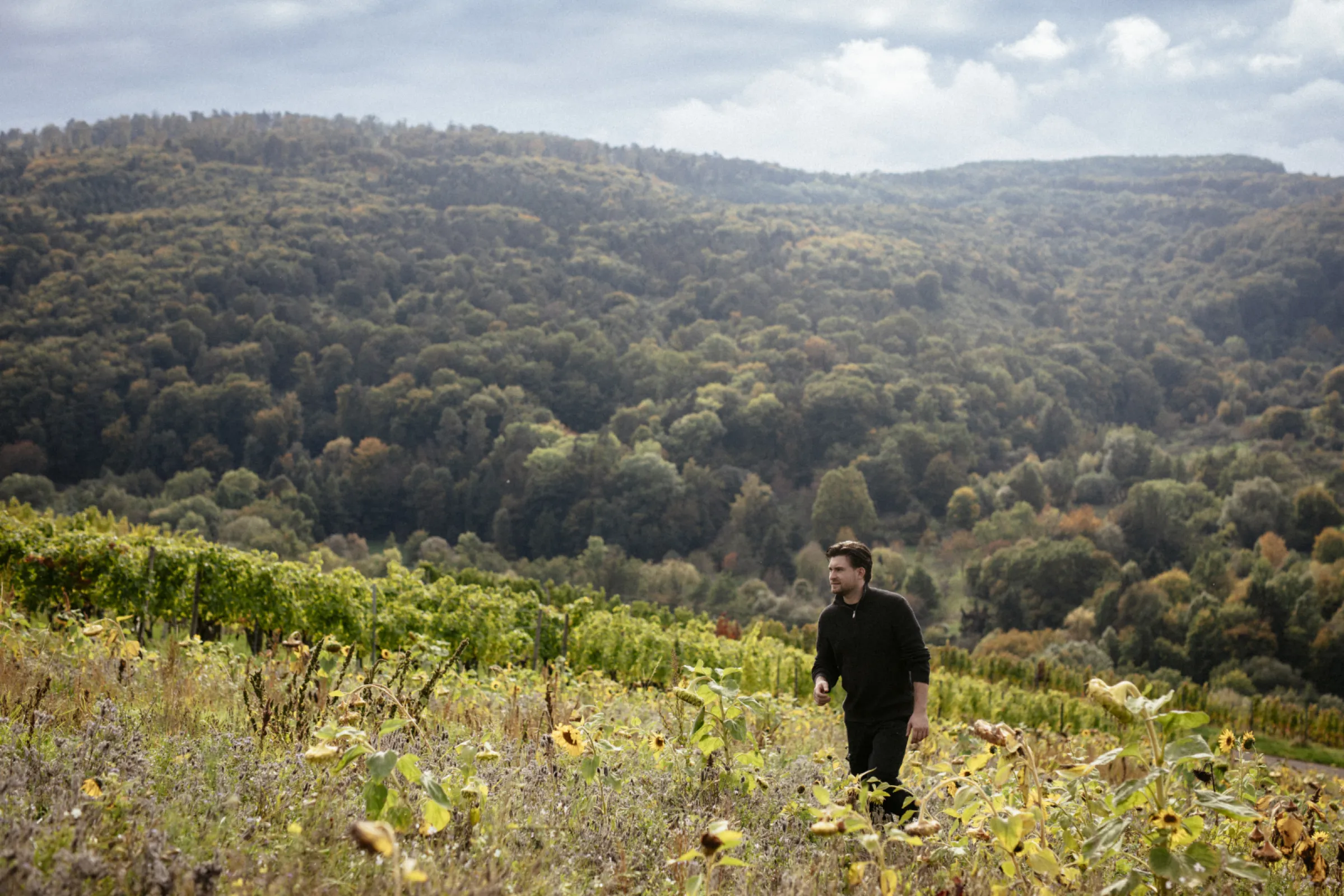 Adrian in a vineyard that will be replanted in two years. Giving the soil time to regenerate lays the foundation for even better grapes