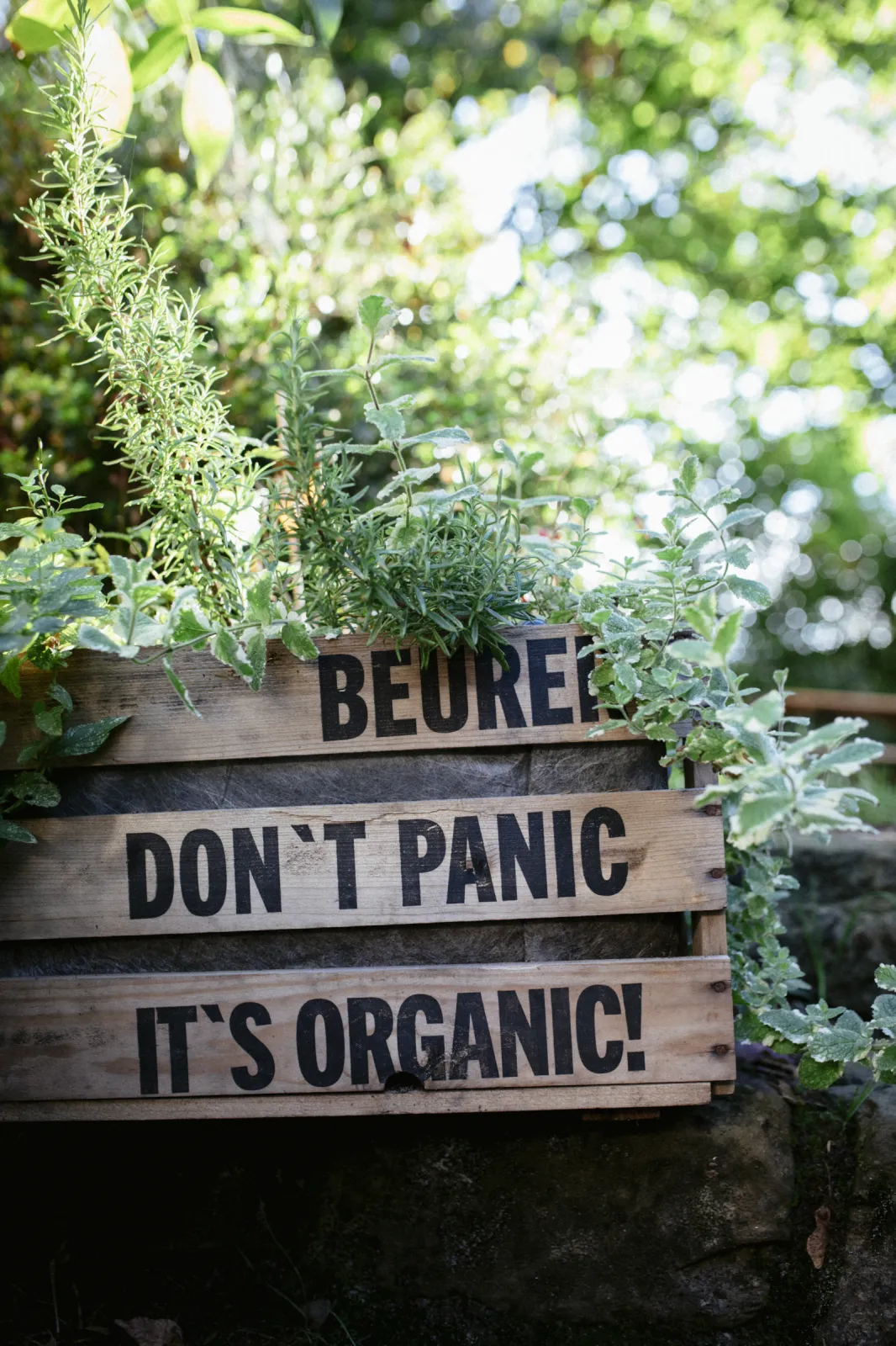 More than wine: we also grow our own herbs.