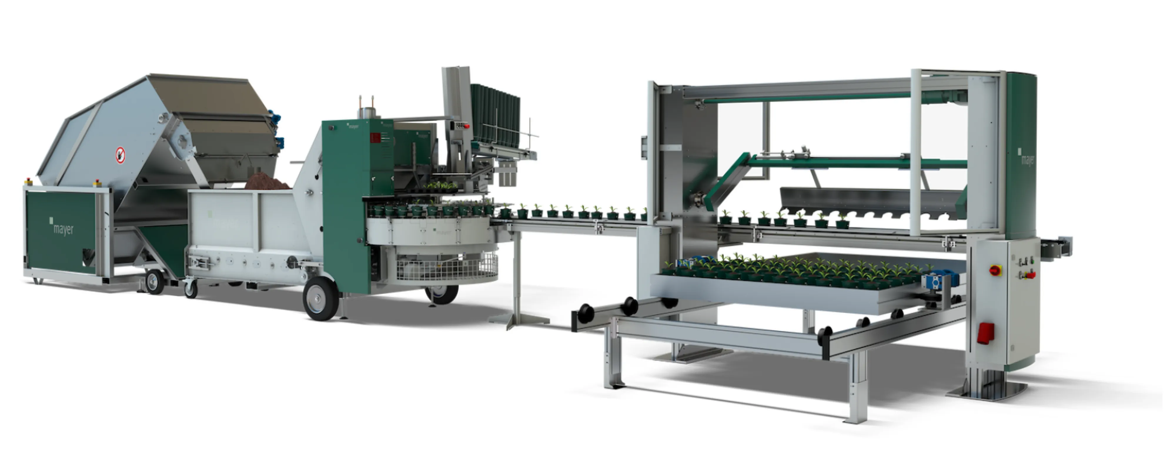 Mayer production line