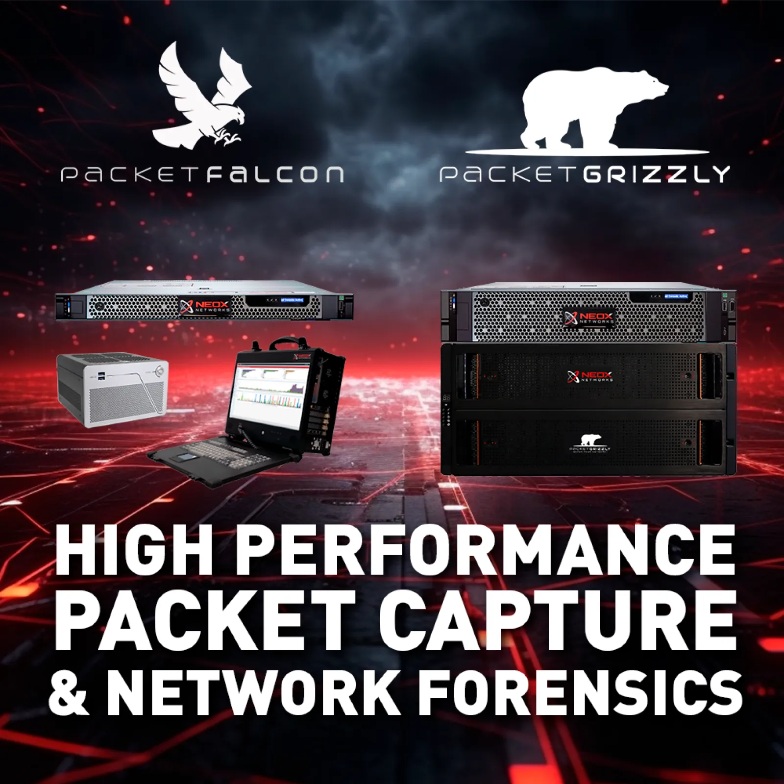 PacketFalcon & PacketGrizzly High Performance Packet Capture and Network Forensics Appliances for up to 100G