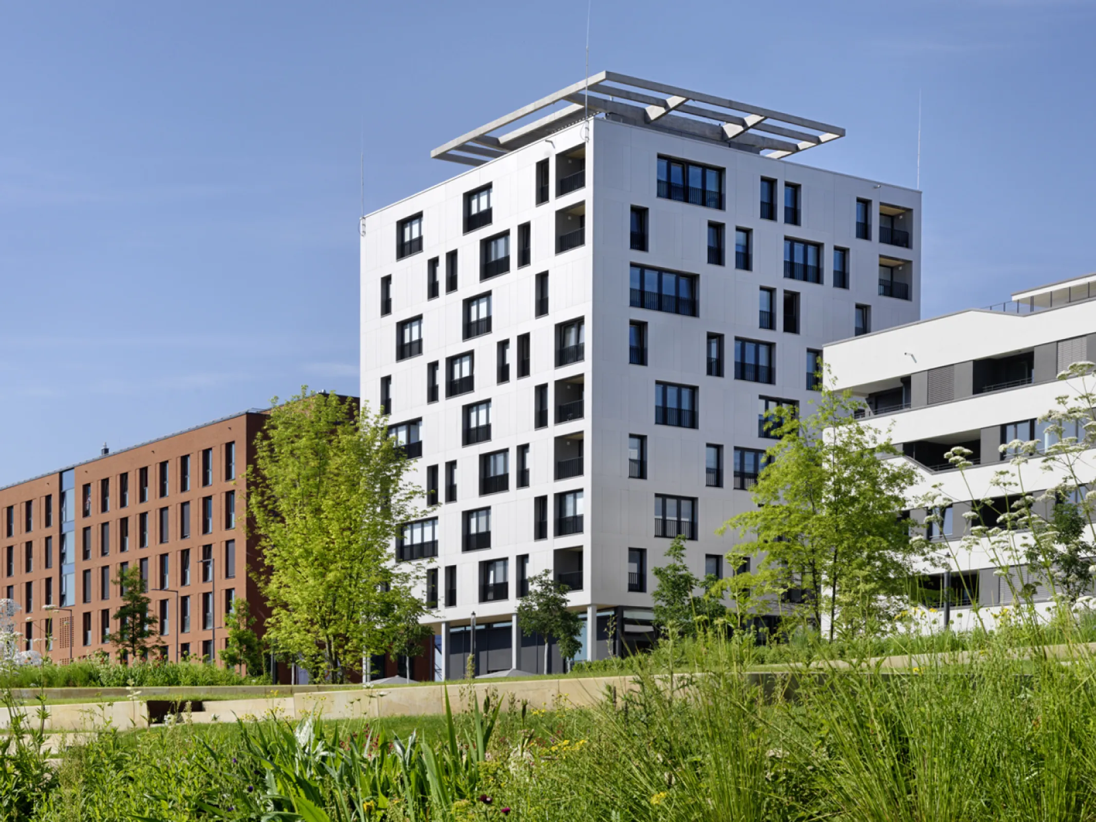 SKAIO, Heilbronn - Wood-hybrid | Architecture: Kaden + Lager | © Bernd Borchardt